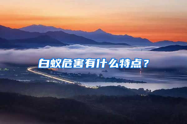 白蟻危害有什么特點？