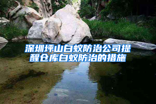 深圳坪山白蟻防治公司提醒倉庫白蟻防治的措施