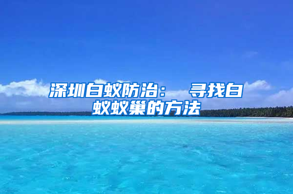 深圳白蟻防治： 尋找白蟻蟻巢的方法