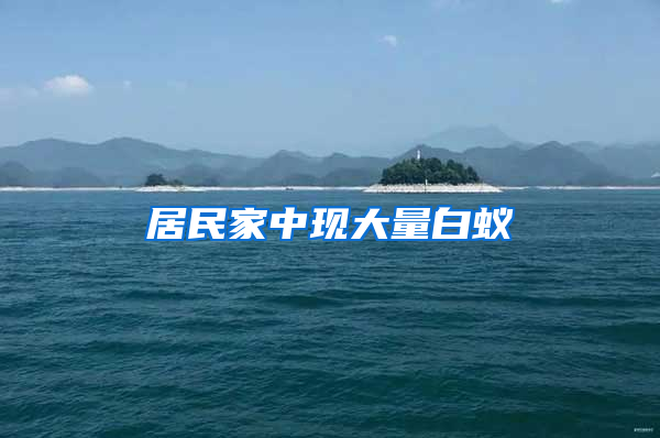 居民家中現大量白蟻