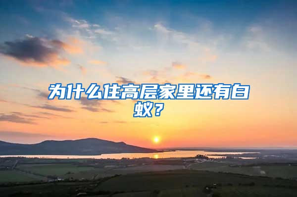 為什么住高層家里還有白蟻？