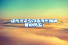 深圳消殺公司告訴您如何遠離跳蚤？