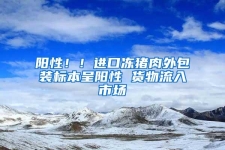 陽性??！進口凍豬肉外包裝標本呈陽性 貨物流入市場