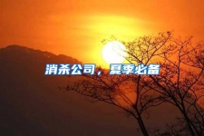 消殺公司，夏季必備